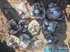 9월 23일 11명 쭈꾸미/갑오징어 조황입니다. 사진