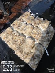 수요일 왕쭈꾸미 오늘도 좋습니다 사진