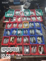 [통영] [팁런]k,k,무시급들로,마리수 "굿"(목,금,토일,출항) 사진