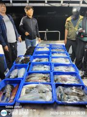 [포항] 무늬오징어낚시