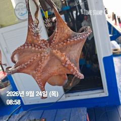 [사천] 9월 25일 주꾸미낚시 6자리여유 예약중