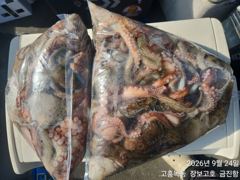 고흥장보고호 선상낚시 조황 사진