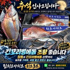 [거제] 선상흘림/긴꼬리벵에돔 마릿수에,56.52. 대물참돔까지 사진