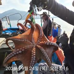 [사천] 문어 장원 21마리 씨알이! 사진