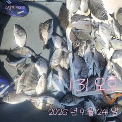 [고성] 24일 감성돔흘림 조황입니다.