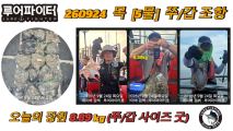 9/24 목 [5물] 쭈꾸미/갑오징어 조항 입니다. 사진