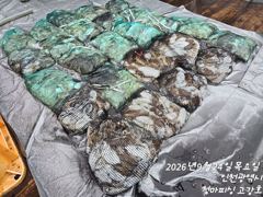 [ 고강호 ] 9월 24일 [ 갑오징어 !! & 주꾸미 조황 !! ] [ 인천배낚시 청마피싱 / 인천선상낚시 / 인천낚시배 ]