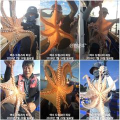 (여수 드림스타)돌문어사냥 나갑니다. 초전투 전투 사진