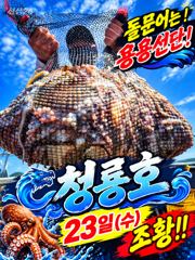 <고흥녹동>청룡호24일 돌문어700수 !!!!대박조황소식!! 사진