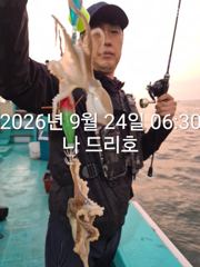 24일, 군산쭈꾸미,갑오징어도 함게~싸이즈 굿~실시간~~군산낚시프라자 나드리호 사진