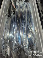 24일 입항조황 1호먼바다왕갈치외줄 2호준원도권텐빈텐야 전원쿨러조황 사진