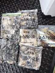 9월 24일 뉴스카이호 주꾸미 조황 사진