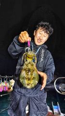25일 팁런출항!