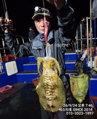 [경주] (씨스타호)무늬 첫 출조에 대형 사고 2.7K 대형 사고 치셨네… 사진