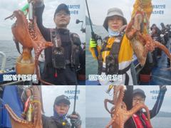 <뉴오리온호> 문어 종일 실시간 조황(25일)-금일 오후 쭈꾸미배 자리있습니다. 사진