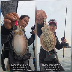 [군산포세이돈2호]쭈꾸미실시간~잘나와요~~사이즈도 굿 사진