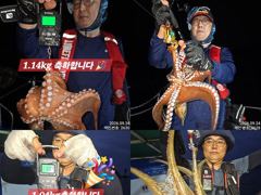 24일 계속해서 쓸어담듯 200수이상 대~박치고 잡고온 굵직한 야간~돌문어 잡으러 출조 갑니다@ 토,일요일~몇 자리 예약가능 사진