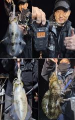 [진해] 팁런무늬!!!좋습니다!!27일(일)부터 예약가능!!