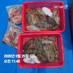 [0925 전투피싱선단 그레이스호] 6물 오전배｜마릿수보다 즐거움이 가득했던 하루 사진