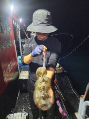 》24일 야간 ! 최종《무씨 &왕고구마 타작! 사진