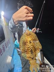 (통영팁런) 오늘도 좌사리도에서 무우, 고구마로 우당탕~ 사진