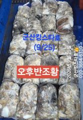 군산킹스타호(9/25반일반) 쭈꾸미 굿~마무리조황 사진