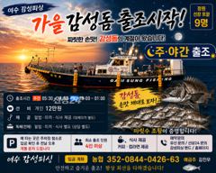 26일(토)마릿수감성돔출조합니다 사진