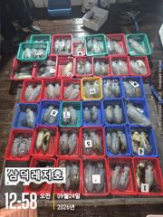 [팁런]k,k,.무시급들,원도권,집중출조(토,일,출항확정 예약중) 사진