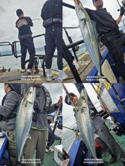 [경주] 야간무늬오징어.괴물대삼치-오후/일,월화,수(모집)) 사진