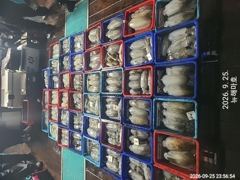 [포항] 무늬오징어 대물들 즐비합니다." .^^