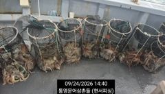 (문어)주야간 ALL 대박~K오버~덩치들 주렁주렁 현서피싱(27일 예약)