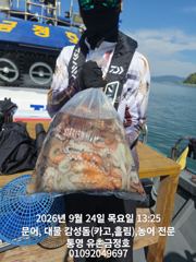 [통영] 통영 금정호 내일 문어선상 정상출항합니다 자리여유있습니다