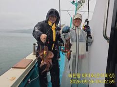 [진해] 문어 비가와도 퍽퍽퍽 비가 안와도 퍽퍽 실시간 좋아요 내일 일요…