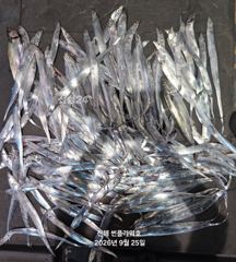 [진해] 26일,입항<내만갈치>BIG사이즈 손맛끝장!일,월,화~예약가능