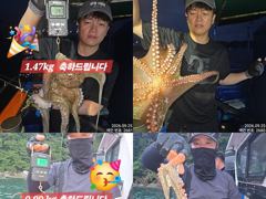 25일 계속해서 쓸어담으러 야간~돌문어 마리수 잡으러 출조 갑니다 @ 일,월,화요일 ~몇 자리 예약가능