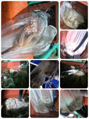 [포항] 9/25. 돌문어 실시간 쿵쾅( 일월화수 1부2부)모집중 사진