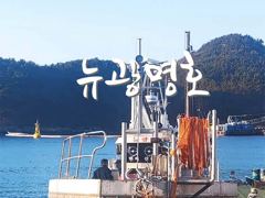 급!!!!!삼천포광명호2.9/27(일요일)쭈꾸미 낚시 출조 예약 받습니다.(선비~5만) 사진
