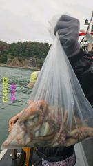 [사천] 돌문어 전원손맛~굳 사진