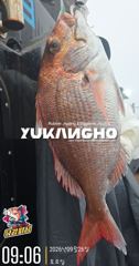 [부산 유강피싱] 유강호 부산권 부시리 파핑 지깅 조황입니다. 사진