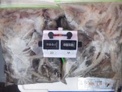 [여수,광양] 26일 최저가왕쭈 악천우속대박 132수가왕쭈개인장원,,성산1호도… 사진