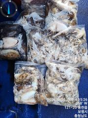 추석 주말 사리물때 손맛보러 출발!!! 사진
