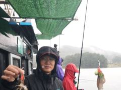 [사천] 왕쭈꾸미 조황입니다 사진