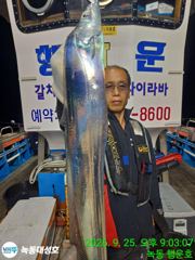 녹동/대성호,행운호/ 본시즌 같죠 ^^ 갈치 너무 잘나와주고 있네요 굿쫩 ~!!