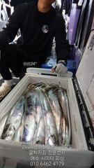 여수 시미터 피싱 (갈치지깅 전문선사) 26년 9월 24일 갈치… 사진