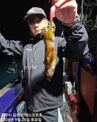 감포앞바다에서 고시간 천지삐깔 이네요~야간 무늬도 잘물어줍니다