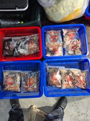 [전투피싱선단 오성호] 9월 26일 7물 오전·오후 갑쭈 조황 사진