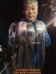 ●. 여수 동부호 갈치낚시 (텐빈,외줄) 조황> ●내일 자리 널널합니다~