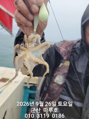 ☆ 9월26일 마루호 쭈꾸미 실시간 조항~☆