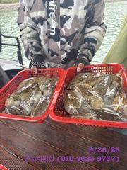 9/26일 갑돌이 조황입니다^^ 사진