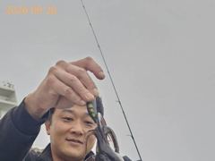 [부산] 무늬 사이즈 마릿수 굿굿!!